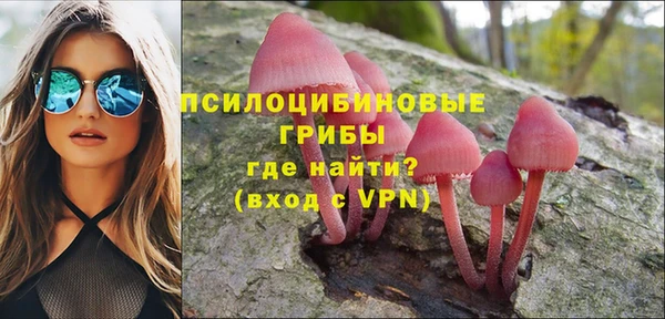 хмурый Янаул