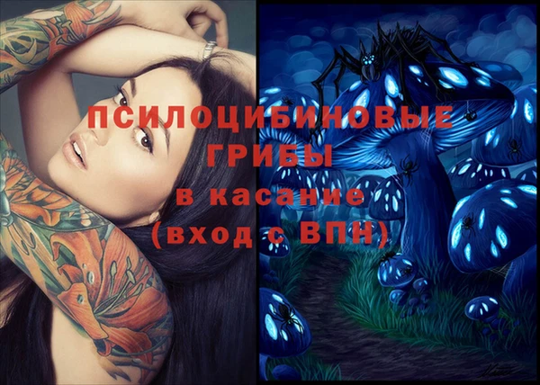 хмурый Балабаново