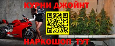 крисы Апшеронск