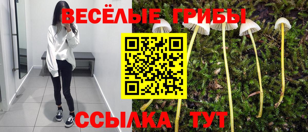 Галлюциногенные грибы GOLDEN TEACHER  Белорецк 