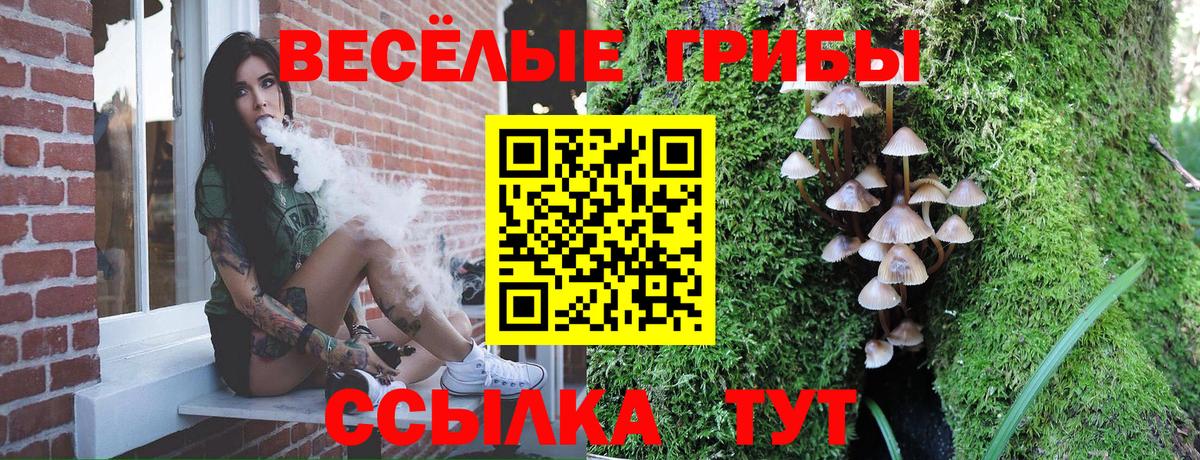 Галлюциногенные грибы Magic Shrooms Белорецк