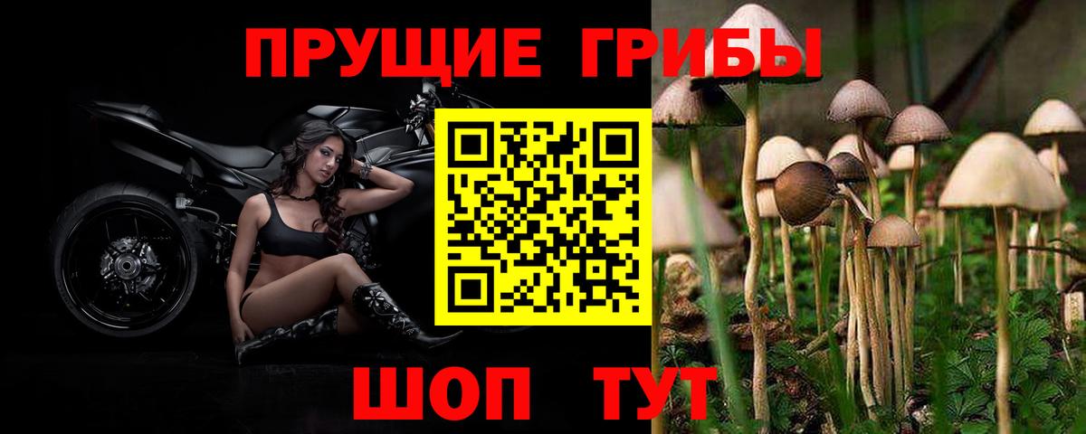 Псилоцибиновые грибы ЛСД  цена наркотик  Белорецк  Вход с VPN 
